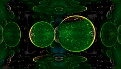 artbioanim